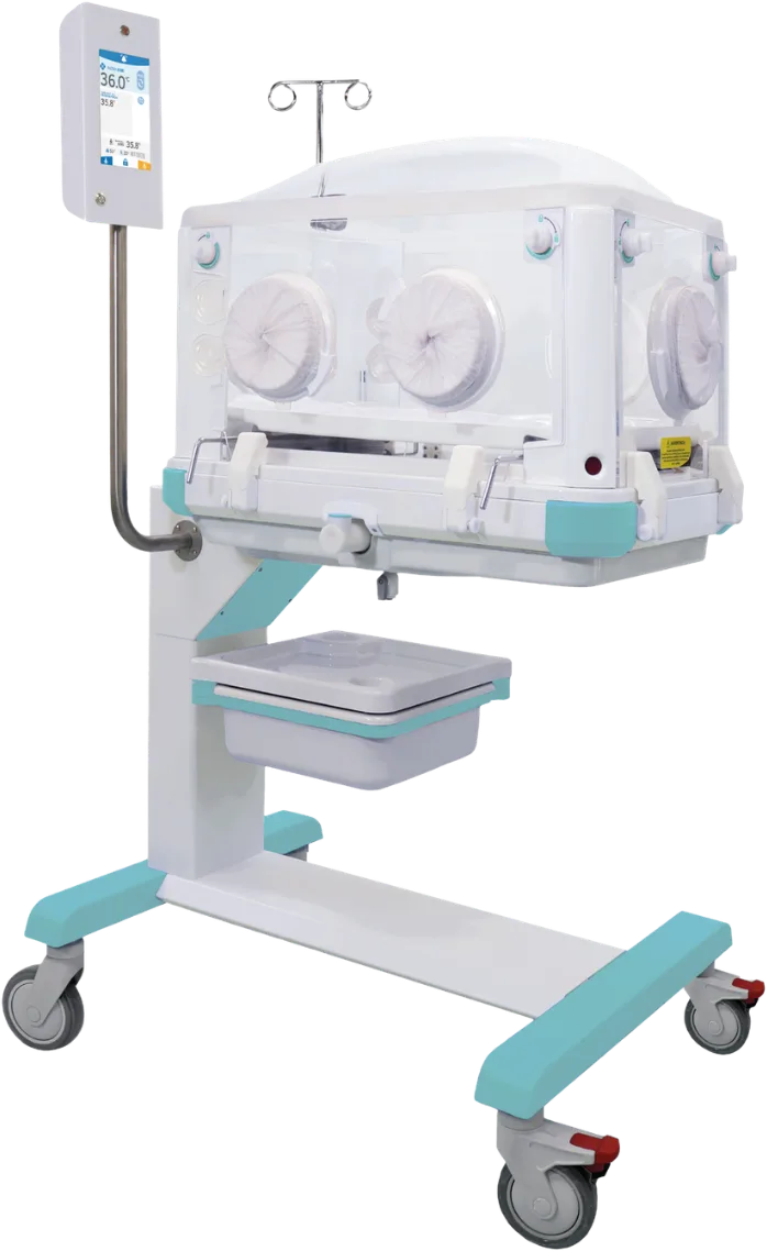 Bhelius Eritrea incubator with an acrylic hood and rolling base.